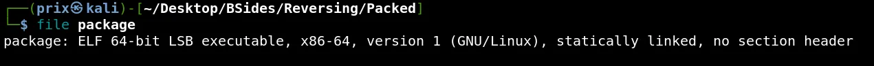 file command output showing ELF 64-bit executable