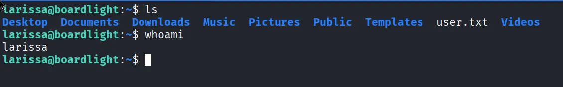 larissa shell with user flag