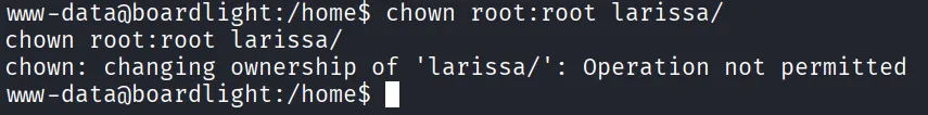 chown operation not permitted